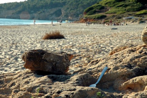 Tenedor en la playa